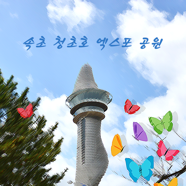 속초 청초호엑스포공원